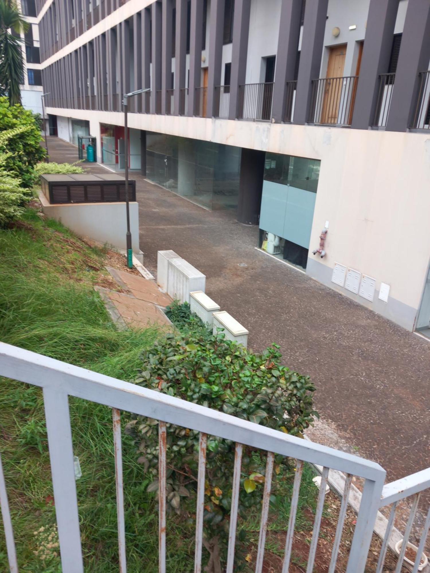 Efd Varzea Park Funchal Dış mekan fotoğraf